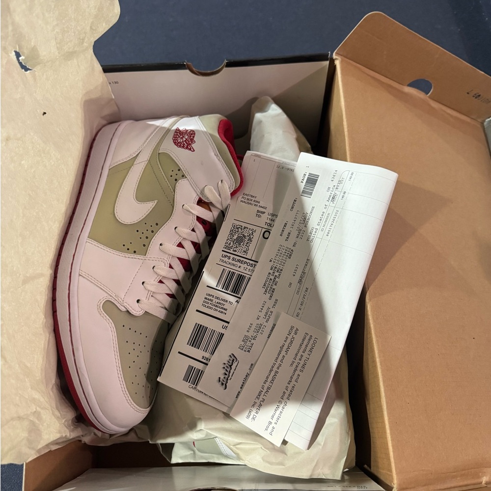 Jordan 1 Hare Jordan 2009